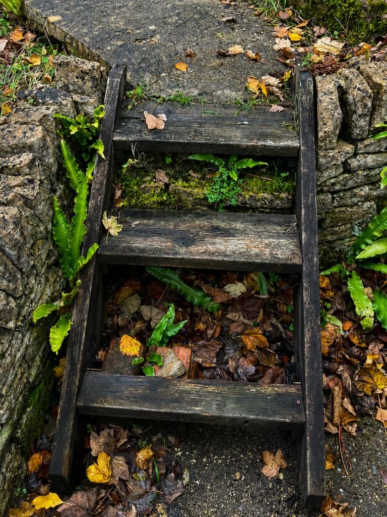 Weathered timber steps set into a dry stone wall
