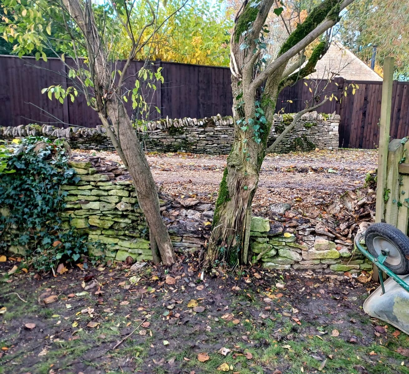 Collapsed dry stone wall under trees